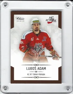 Adam Luboš OFS Chance Liga 2018-19  č.294